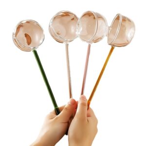 Muỗng Thuỷ Tinh borosilicate